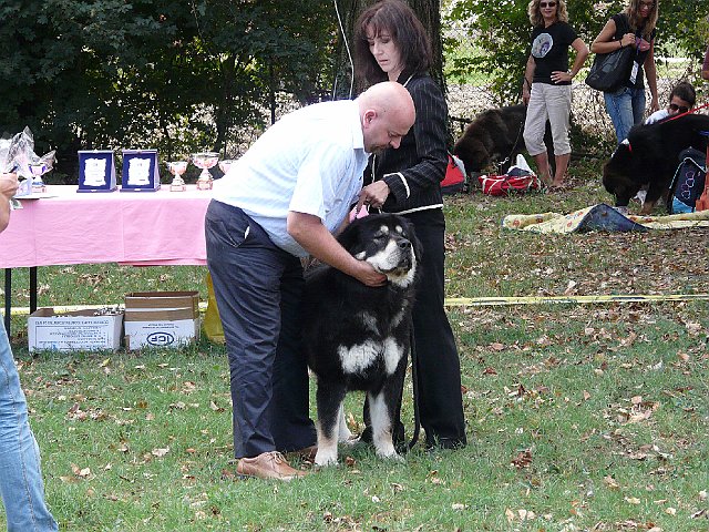 img 054.jpg